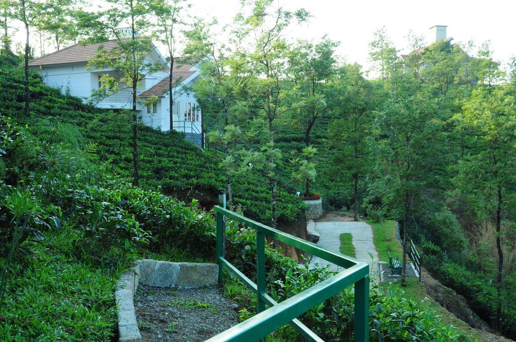 Falcon Crest Vagamon Ruang foto