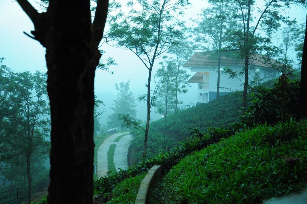 Falcon Crest Vagamon Bagian luar foto