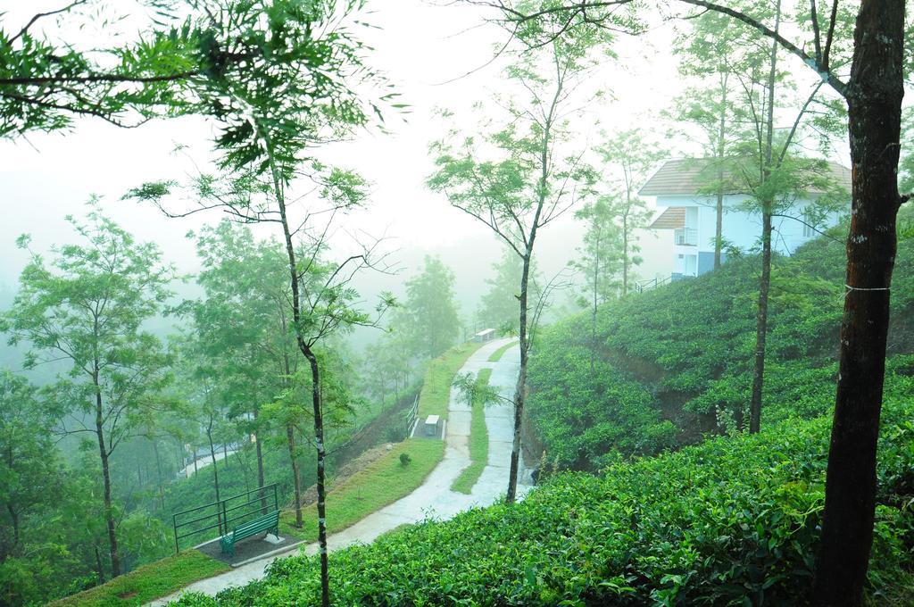 Falcon Crest Vagamon Bagian luar foto