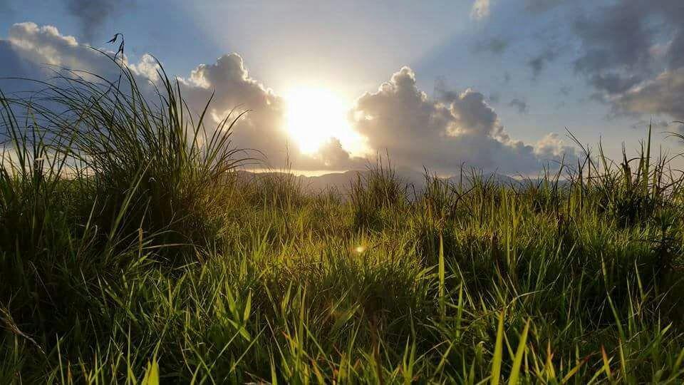 Falcon Crest Vagamon Bagian luar foto